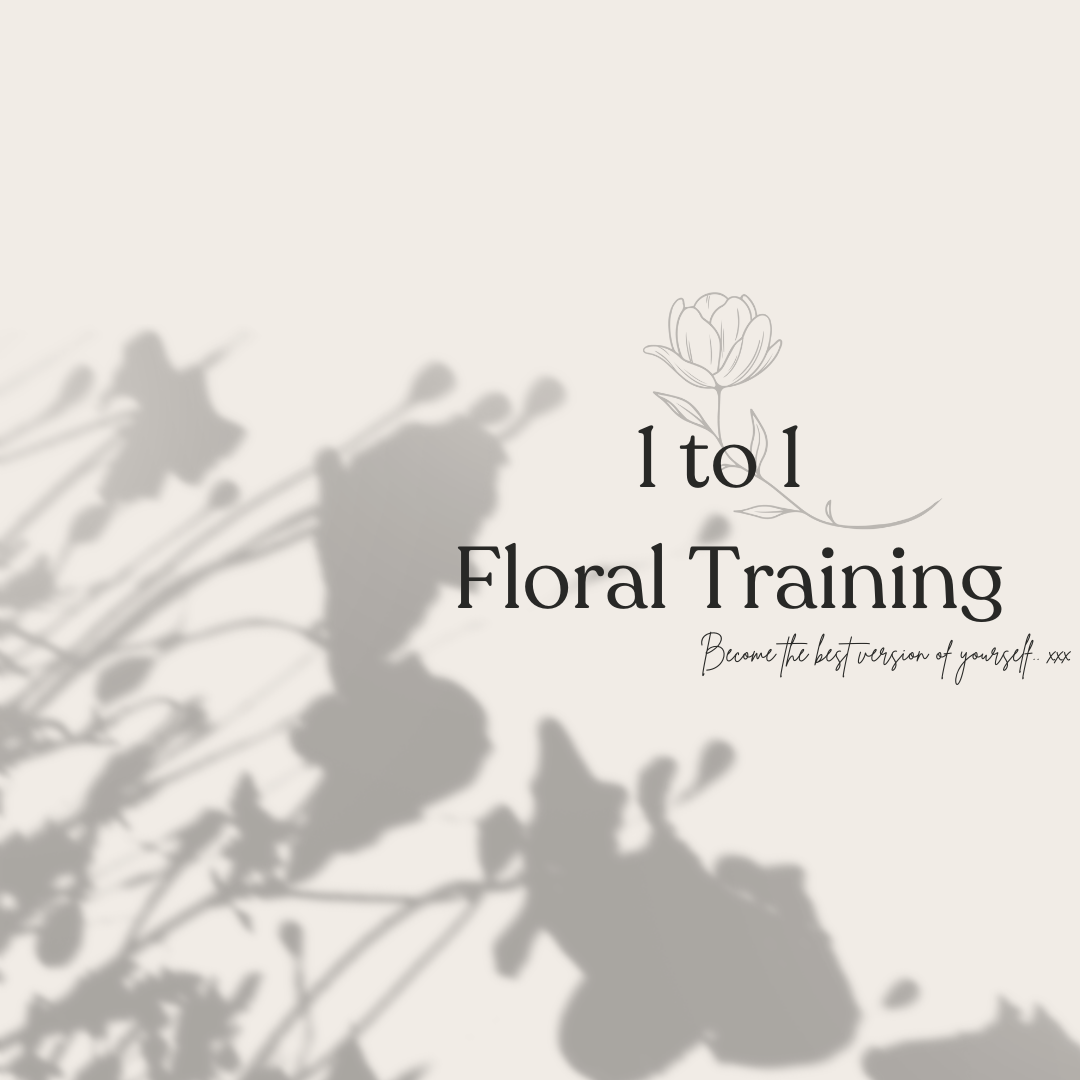 1 to 1 Training